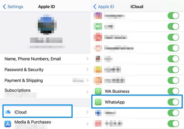 Turn on WhatsApp backup in iCloud settings