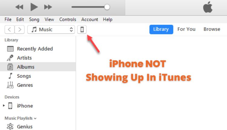 iPhone is not showing up in iTunes